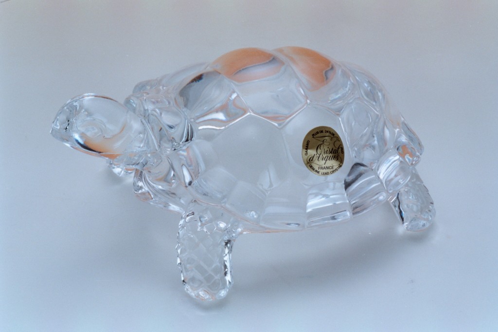 115透明水晶陸龜