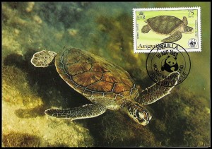 WWF綠蠵龜原圖明信片