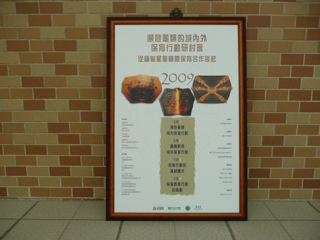 瀕危龜類保育研討會海報