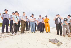 　今年5月在東沙海邊野放綠蠵龜正悠游南沙海域快樂覓食。（海生館提供）